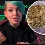 Πώς να επιλέξετε φυτά μηλίτη και να εκπλήξετε τους γείτονές σας με μια συγκομιδή: ένας κηπουρός έδωσε αποτελεσματικές συμβουλές Πώς να επιλέξετε φυτά μηλίτη και να εκπλήξετε τους γείτονές