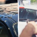 Τα πουλιά δεν θα χέζουν πια στα αυτοκίνητα: να τι