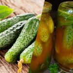 Πώς να κλείσετε τα αγγούρια σε κέτσαπ τσίλι για το