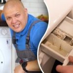 Πώς να καθαρίσετε ένα πλυντήριο ρούχων από τη μούχλα και τις οσμές: συμβουλές του ειδικού για το κέρδος Πώς να καθαρίσετε ένα πλυντήριο ρούχων από τη μούχλα και