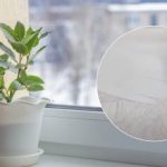 Το αποτέλεσμα θα σας καταπλήξει: μια συνταγή για ένα φάρμακο που θα λευκάνει ένα πλαστικό περβάζι παραθύρου. Το αποτέλεσμα θα σας καταπλήξει: μια συνταγή για ένα φάρμακο