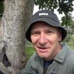 Ένα κούφιο δέντρο δεν είναι κρίση: ένας αποδεδειγμένος τρόπος για