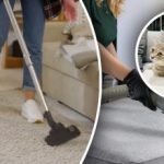 Δεν θα μείνει ούτε ένα ίχνος πίσω: 7 βήματα για να αφαιρέσετε την οσμή των ούρων από το χαλί σας Δεν θα μείνει ούτε ένα ίχνος πίσω: 7 βήματα για