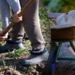 Ημερολόγιο σποράς για τον Σεπτέμβριο του 2025: τι να κάνετε στον κήπο και στον λαχανόκηπο Ημερολόγιο σποράς για τον Σεπτέμβριο του 2025: τι να κάνετε