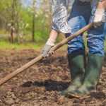 Πότε είναι απαραίτητο να σκάψετε τον λαχανόκηπο για το χειμώνα,