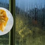 Η συμπύκνωση στα παράθυρα εξαφανίζεται για πάντα: ένα προϊόν λύνει το πρόβλημα Η συμπύκνωση στα παράθυρα εξαφανίζεται για πάντα: ένα προϊόν λύνει