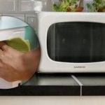 Το μυστικό του φούρνου μικροκυμάτων που λίγοι γνωρίζουν: ένα κρυφό