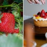 Η συγκομιδή θα είναι σε ένα μήνα: πώς να καλλιεργήσετε