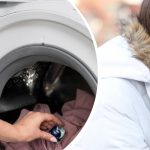 Δεν θα χάσει το σχήμα και τον όγκο του: πώς να πλύνετε ένα πουπουλένιο μπουφάν στο σπίτι και να μην το χαλάσετε Δεν θα χάσει το σχήμα και τον όγκο του: πώς